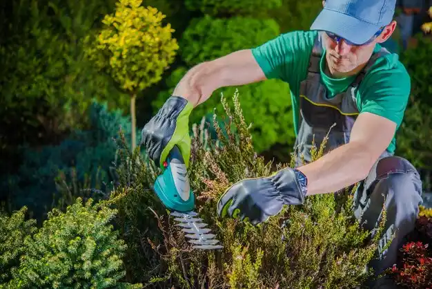 landscaping services Harrodsburg